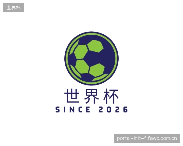 解读世界杯机构